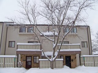 江楼雪望