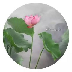 次韵刘枢密