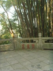 柳梢青（邵武熙春台席上呈修可叔）