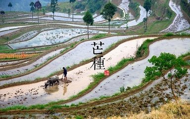 练圻老人农隐