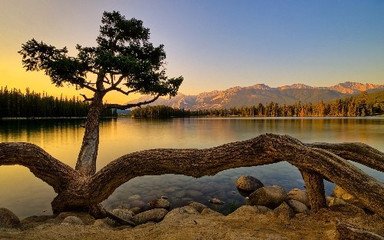 渔家傲·昨日小春才得信
