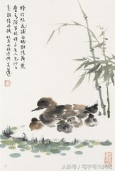 糁径杨花