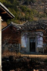 晖仲惠梅花数枝