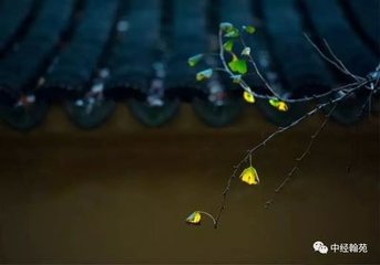 小重山·花过园林清荫浓