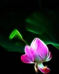 水调歌头·老子兴不浅