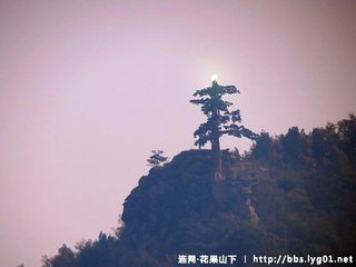 阿育王山有松万株乞亭名于真隐居士榜日松风