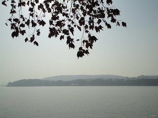 东湖送春和陈自堂