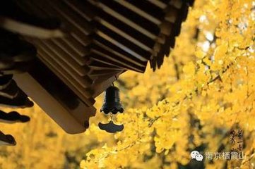 游摄山栖霞寺