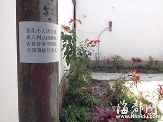 被盗