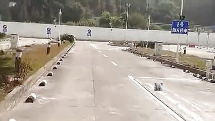 谕鸥