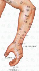 手阳明及臂凡二十八穴