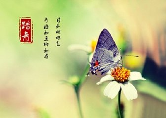沁园春·莺带春来