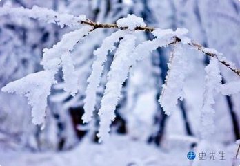 念奴娇（咏雪）
