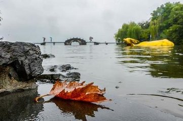 家僮归得王庆长消息知留浙中秋举