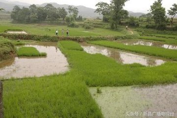 自安仁至豫章途中杂兴十九首