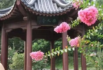 贺紫微舍人改镇