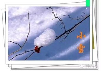 和无少卿雪