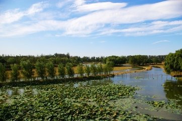 南囿秋风