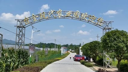 金沙台