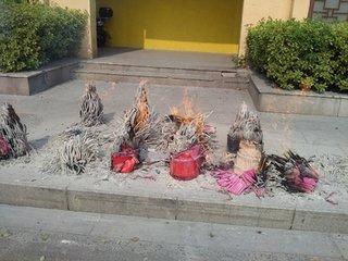 渡海至琼管天宁寺咏阇提花三首