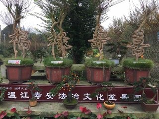 到寿安精舍