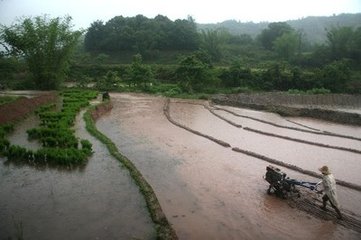 雨中书事