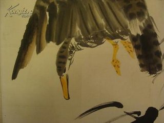 丛苇