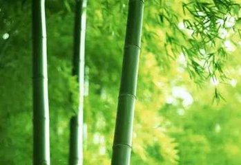 彭州歌