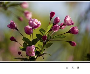 垂丝钓·短篷醉舣