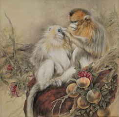 题游昭画牛四图