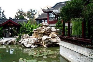 丛桂
