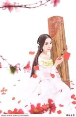 美人赋