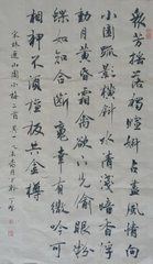 山园示游人