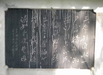 自维扬辞亲暂归里中登楼有作