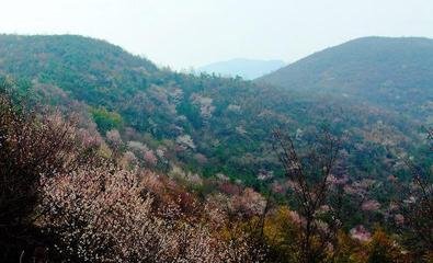 葛仙化