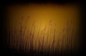 暮秋闻雁有怀