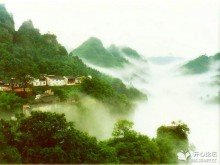 忆王孙·梅子生时春渐老