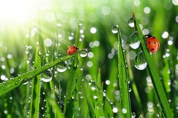 越江吟·神仙神仙瑶池宴