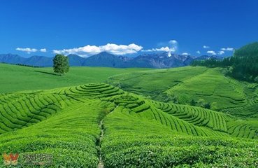 临江仙 故人自三韩回，作此寄之