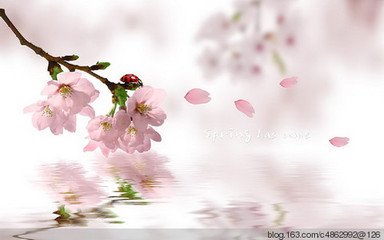 伤往诗 一