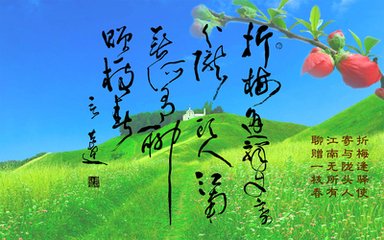 赠范晔诗