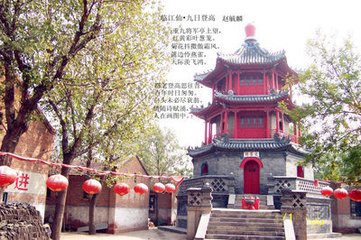 临江仙·谩道追欢惟九日