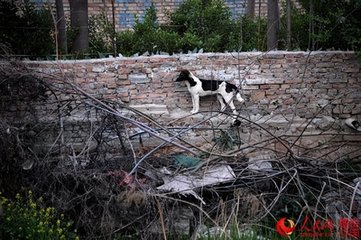 至栎阳崇道寺闻严十少府趋侍