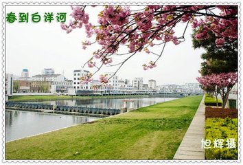 鹧鸪天（寿兄六十）