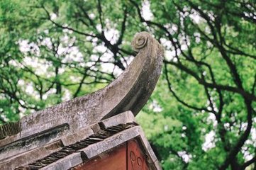 一年佳节惟立春元夕并在一日亦盛事也灯火笙