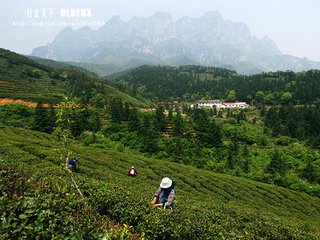 题五老峰下费君书院