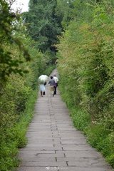 送张状元监丞通理陕郊先觐亲蜀道