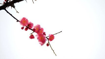 孙推内子挽诗