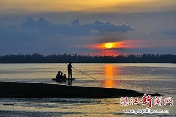 马草行