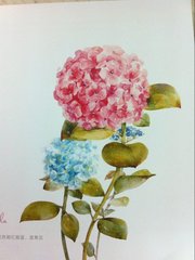 题卧屏十八花·酴醿
